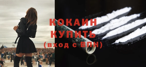 дживик Гусев