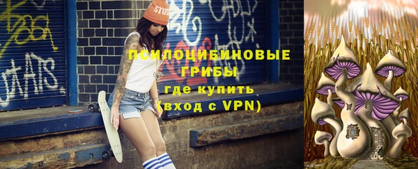 2c-b Новозыбков